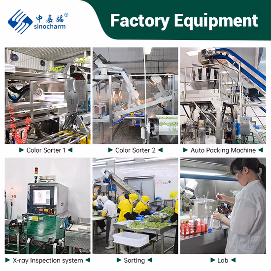 Fresh Litchi Black Tea Lychee Tea Fruit Tea