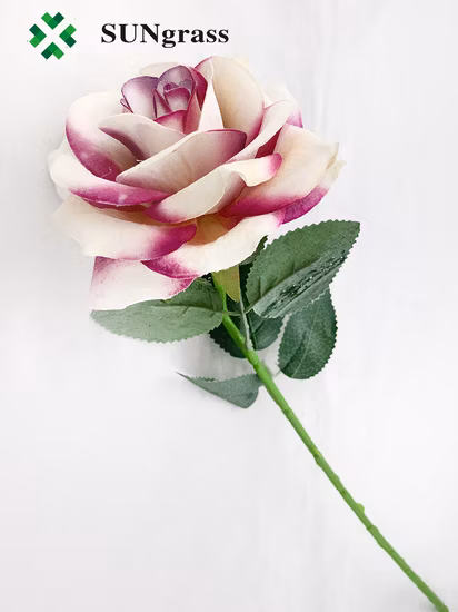 Herbal Tea Rose Oolong Tea China Flavored Loose Leaf Rose Flower